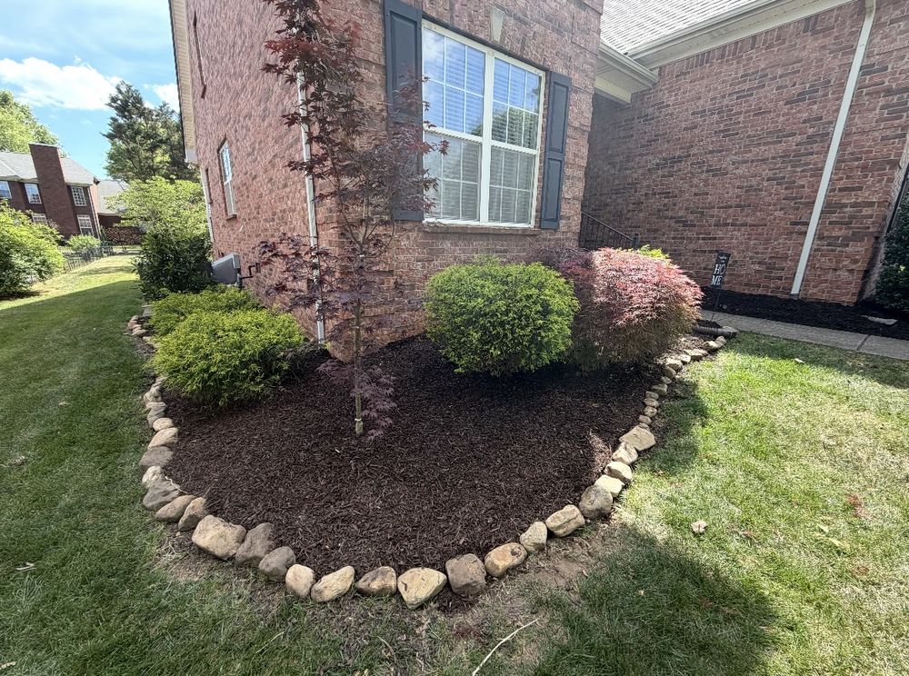 Fresh mulch installation in a Murfreesboro front yard